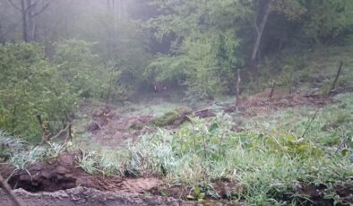 Uçuruma yuvarlanan araçtaki 2 kişi hayatını kaybetti