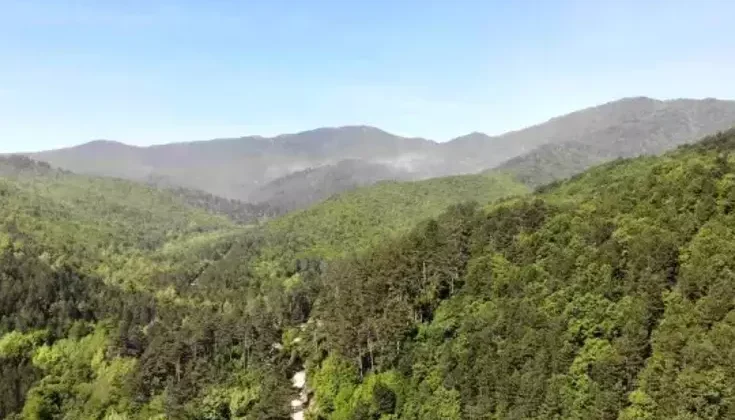 Çanakkale Ormanlarında Yangın Riski Nedeniyle Giriş Yasaklandı