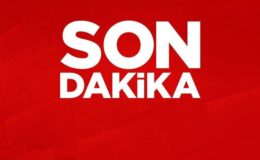 DEM Parti