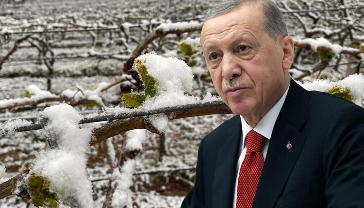 Ürünlerin isimlerini tek tek saydı: Bu sene sıkıntı yaşayacağız